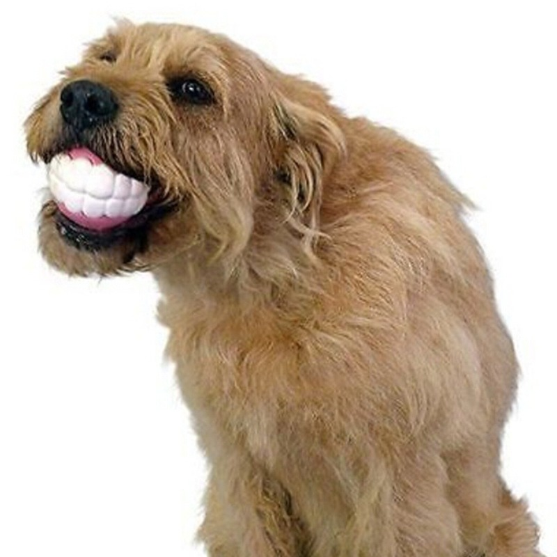 Pelota de silicona masticable para perros de razas grandes