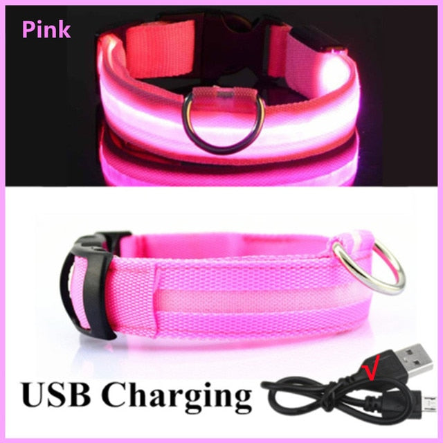 Collar para perro ajustable con luz LED