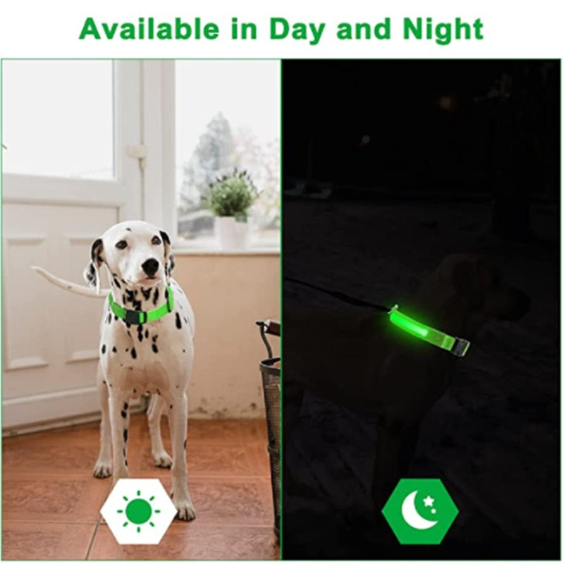 Collar para perro ajustable con luz LED