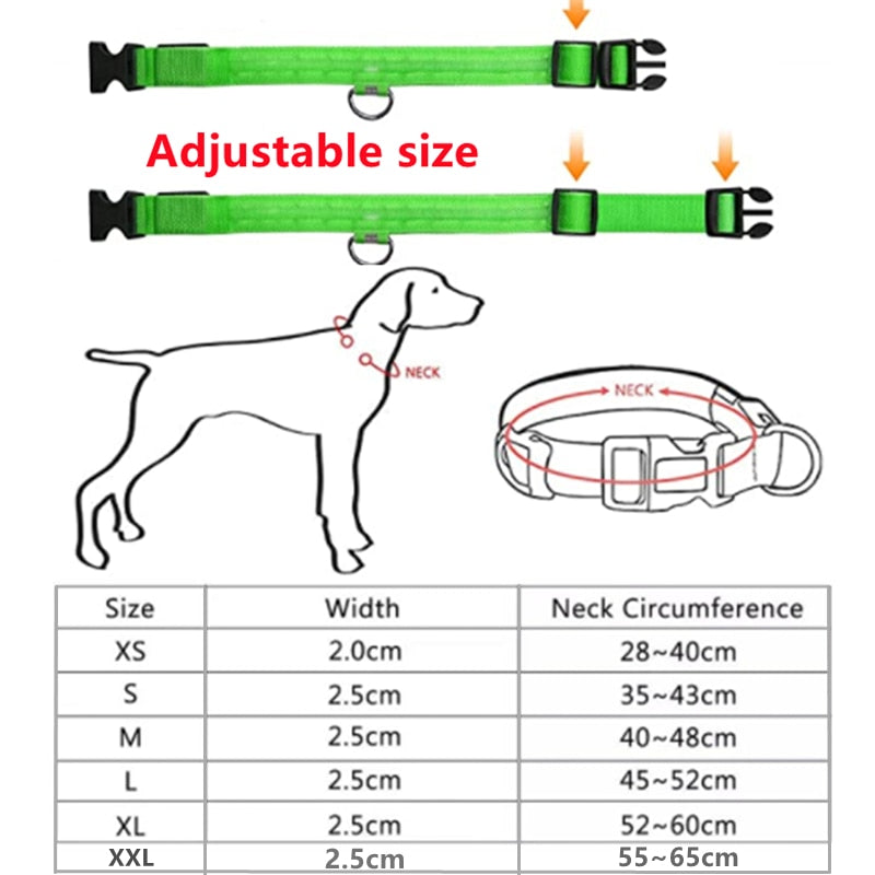 Collar para perro ajustable con luz LED