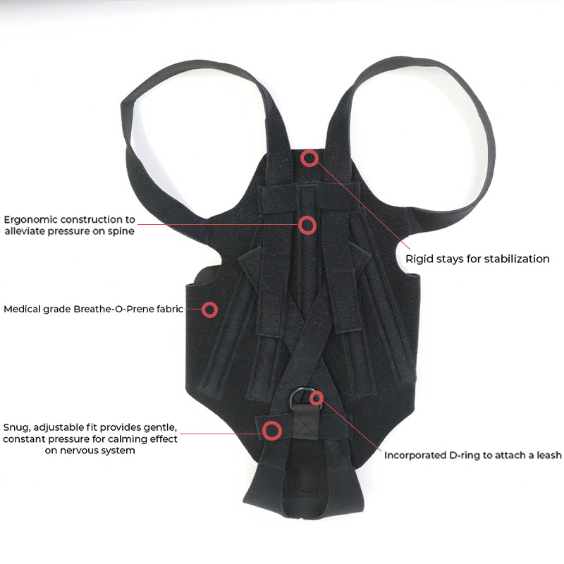 Soporte ortopédico para perros con IVDD, artritis y recuperación