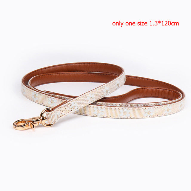 Bonitos Collares de Mascotas con Lazo